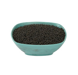 Acide humique propageant le meilleur engrais granulaire pour l'herbe de buffle