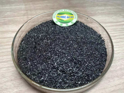 Additif alimentaire humate de sodium