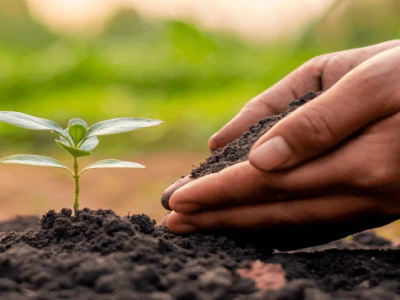 L'effet d'amélioration de l'acide humique sur le sol - effet physique
