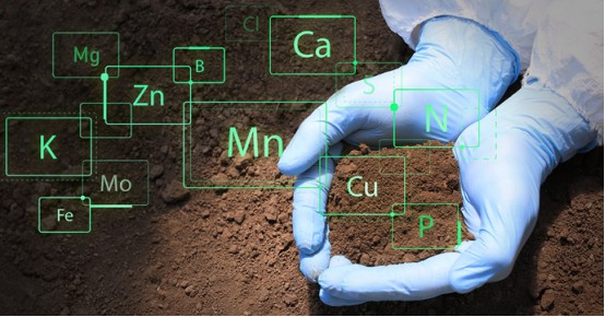 L'effet d'amélioration de l'acide humique sur le sol - effet chimique.jpg