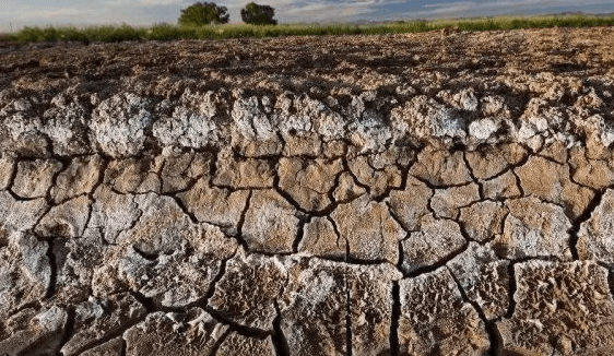 Terre saline-alcaline.jpg