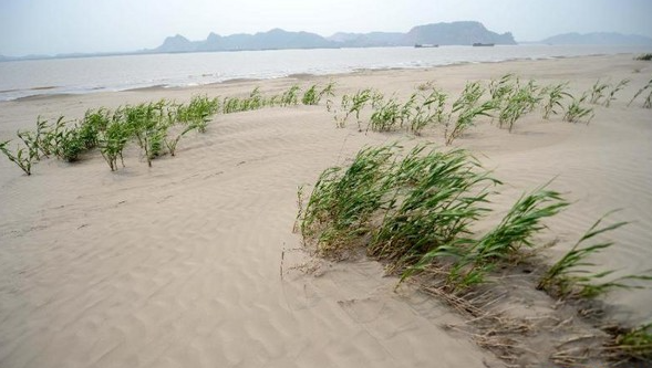 Sol désertifié.jpg