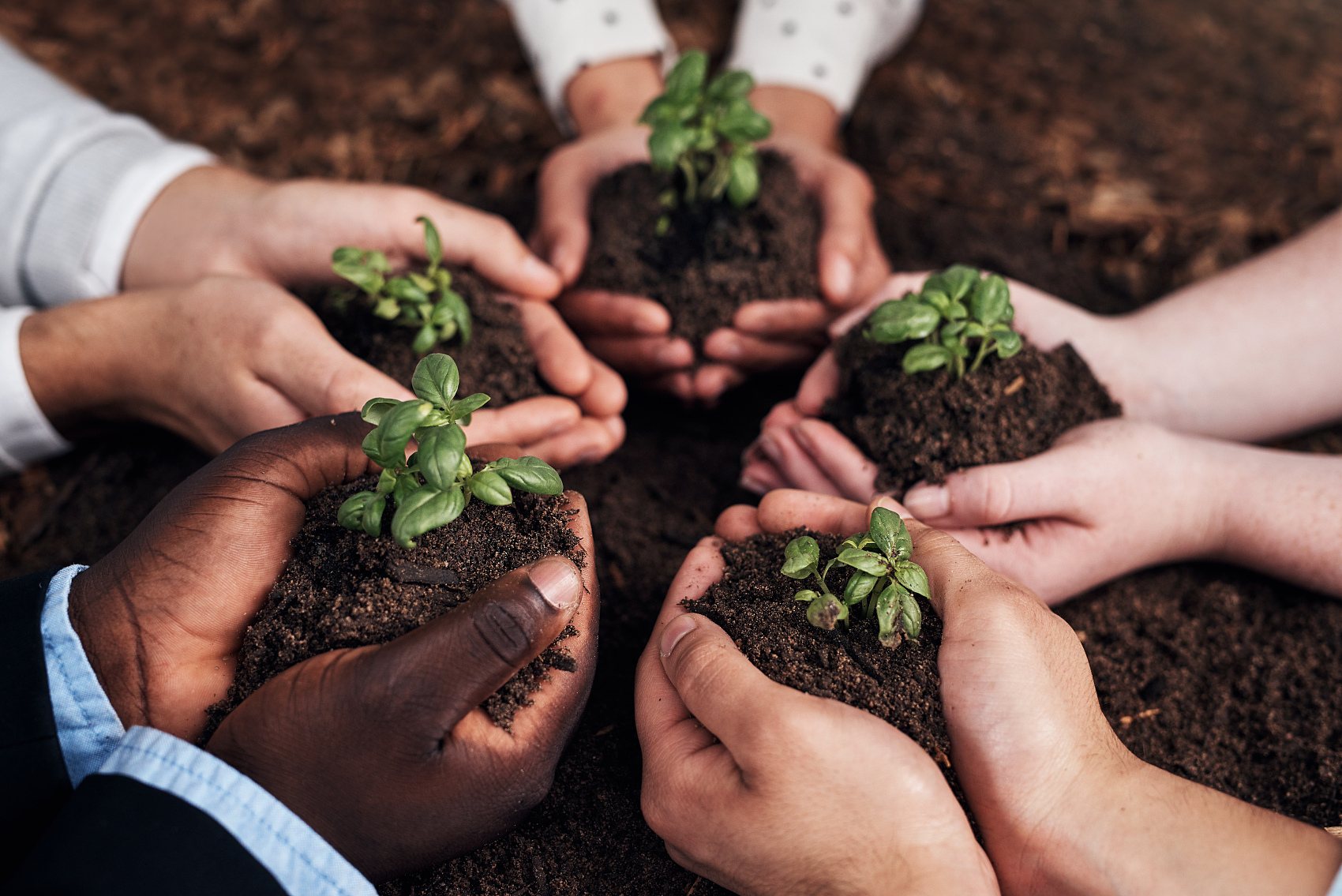 Les huit fonctions et les cinq effets de l'acide fulvique, source minérale.jpg