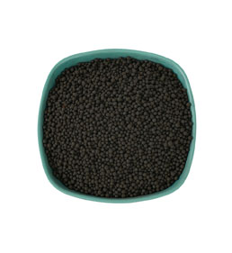 Acide humique pour l'alimentation de la pelouse pour les plantes.jpg