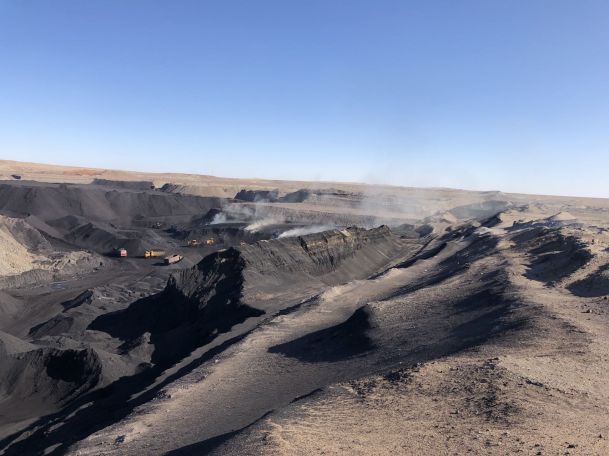 Poudre d'acide humique d'excellente qualité au prix le plus bas.jpg