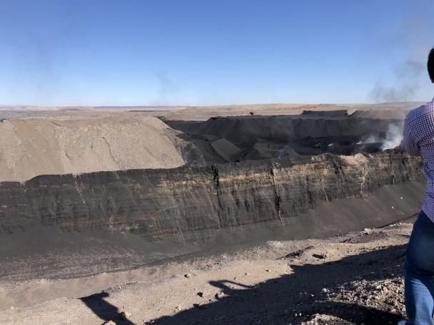 Poudre d'acide humique d'excellente qualité au prix le plus bas.jpg