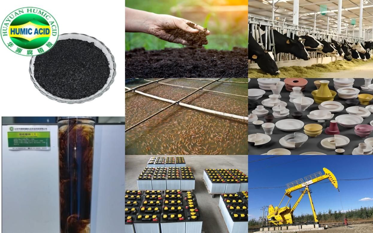 Fabricant de flocons d'humate de sodium d'excellente qualité en Chine.jpg Fabricant de flocons d'humate de sodium d'excellente qualité en Chine.jpg