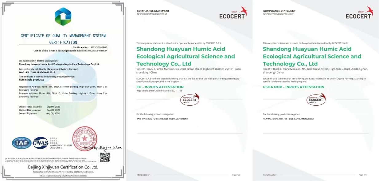 Application de sodium Humate dans l'agriculture.jpg